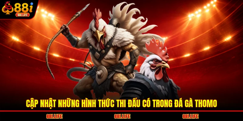 Cập nhật những hình thức thi đấu có trong đá gà Thomo