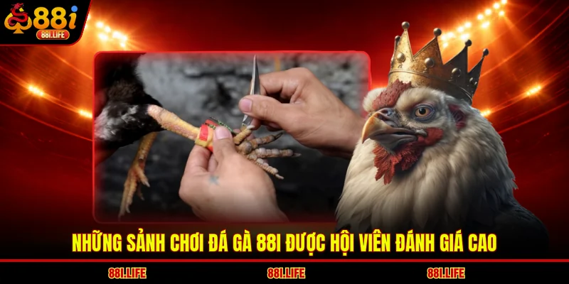 Những sảnh chơi đá gà 88I được hội viên đánh giá cao