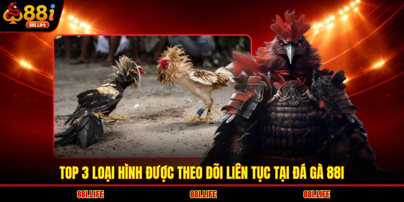 Top 3 loại hình được theo dõi liên tục tại đá gà 88I